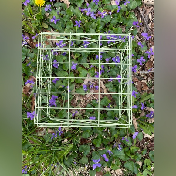 Wire Basket - Picture 9 of 10